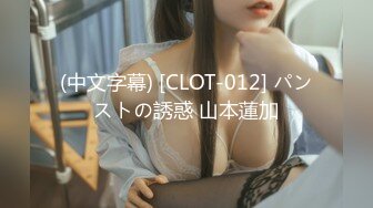 (中文字幕) [CLOT-012] パンストの誘惑 山本蓮加