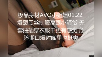 极品身材AVO小姐姐01.22 爆裂黑丝制服高跟小骚货 无套抽插穿衣服干更有感觉 危险期口爆射嘴里也挺爽