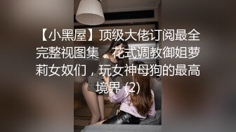 【小黑屋】顶级大佬订阅最全完整视图集，花式调教御姐萝莉女奴们，玩女神母狗的最高境界 (2)