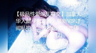 【极品性爱淫乱群交】加拿大华人圈『索菲娅』最新VIP订阅私拍④二龙戏凤 双战肉棒 车震骚货 (2)