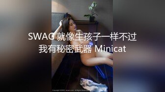 SWAG 就像生孩子一样不过我有秘密武器 Minicat