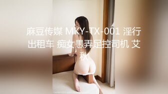 麻豆传媒 MKY-TX-001 淫行出租车 痴女愚弄足控司机 艾秋