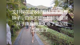 文轩探花蓝衣好身材丰乳肥臀妹子，口活不错抬起腿来猛操，妹子嫌搞得太久疼了要加钱生气走了