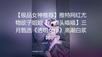 【极品女神推荐】推特网红尤物欲子姐姐【小蔡头喵喵】三月甄选《透明女仆》高潮白浆呻吟