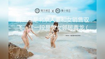 前三段是北京人妻和女销售双飞，后一段是美女邻居毒龙 (3)